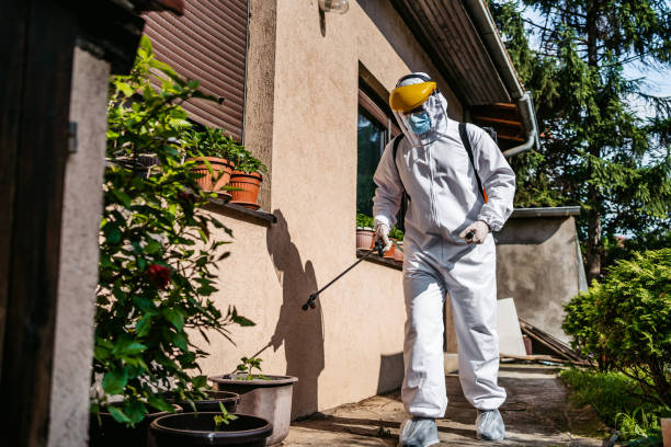 Best Pest Inspection Near Me  in Cocoa West, FL