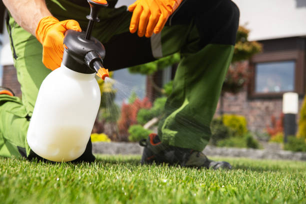 Reliable Cocoa West, FL Pest Control Solutions