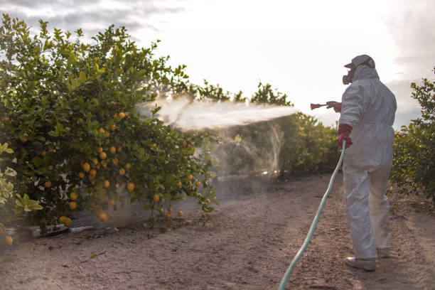 Best Wasp Removal Services  in Cocoa West, FL