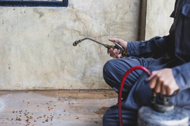 Best Exterminator Services  in Cocoa West, FL